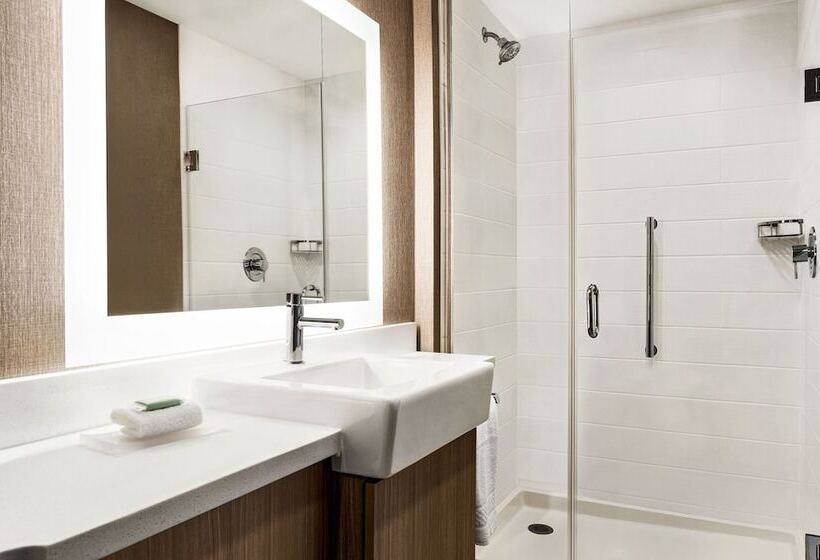 Отель Springhill Suites By Marriott Camp Hill