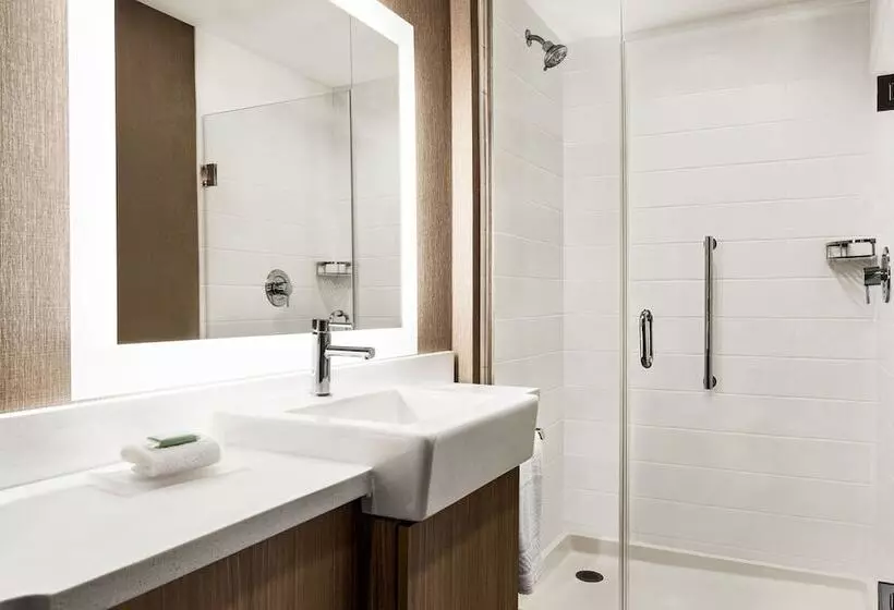 Hotelli Springhill Suites By Marriott Camp Hill