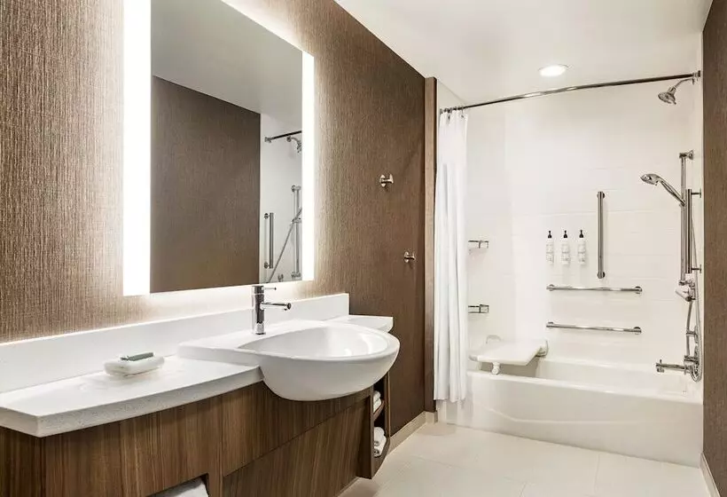 Hotelli Springhill Suites By Marriott Camp Hill