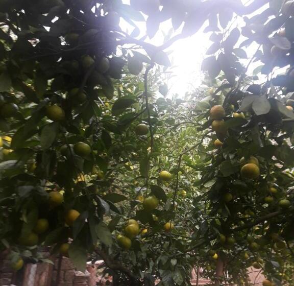 پانسیون Ni Ke