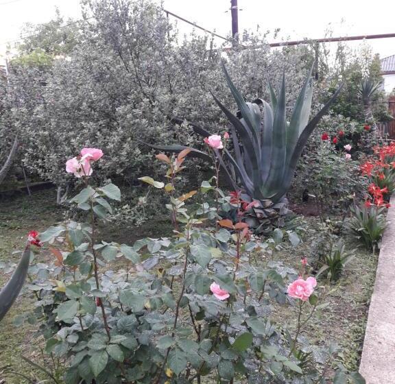 پانسیون Ni Ke