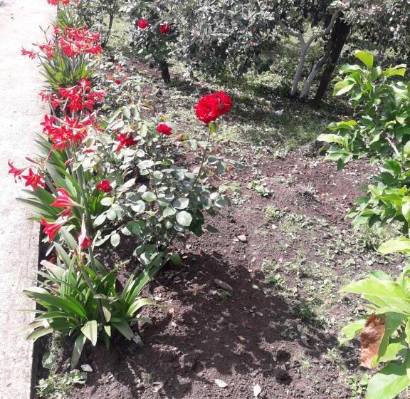 پانسیون Ni Ke