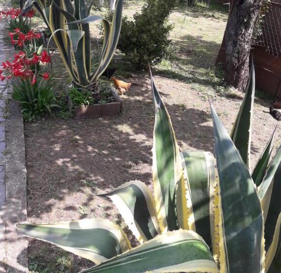 پانسیون Ni Ke