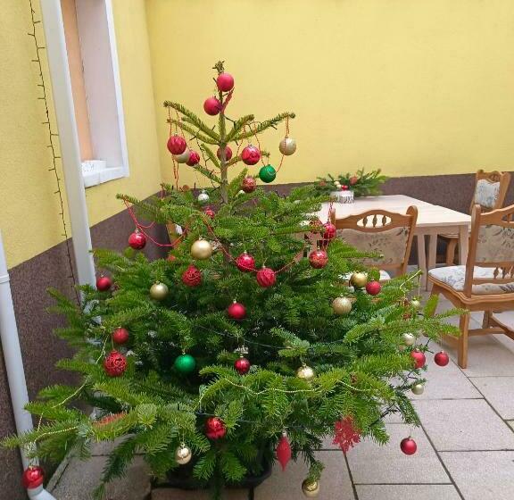 פנסיון Ruyi Holiday