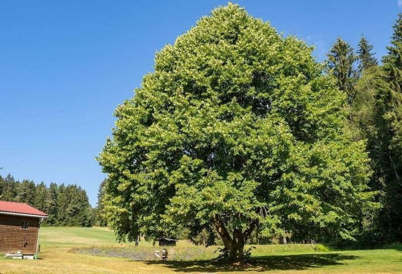 Ferienhof Stöhrmühle