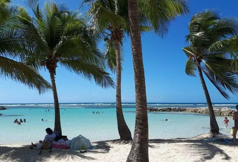 Le Blue Coco   1 Minute De La Plage