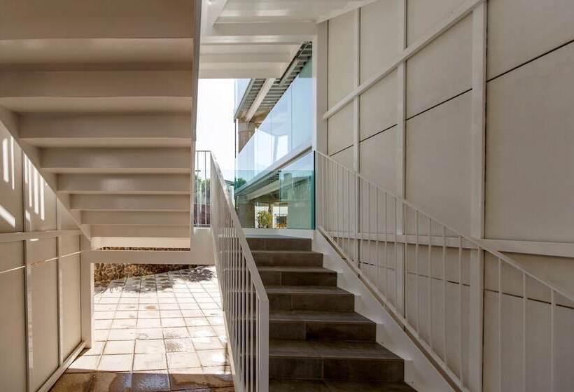 Apartamentos Datasol