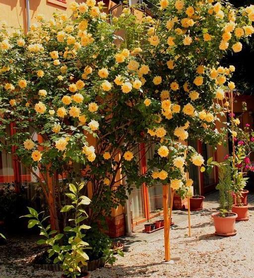 Centrum Apartmanház Pécs