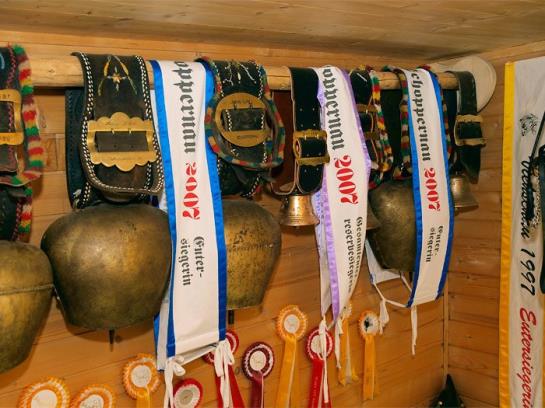 Bauernhof Lingg Huberta - Almhof Lingg