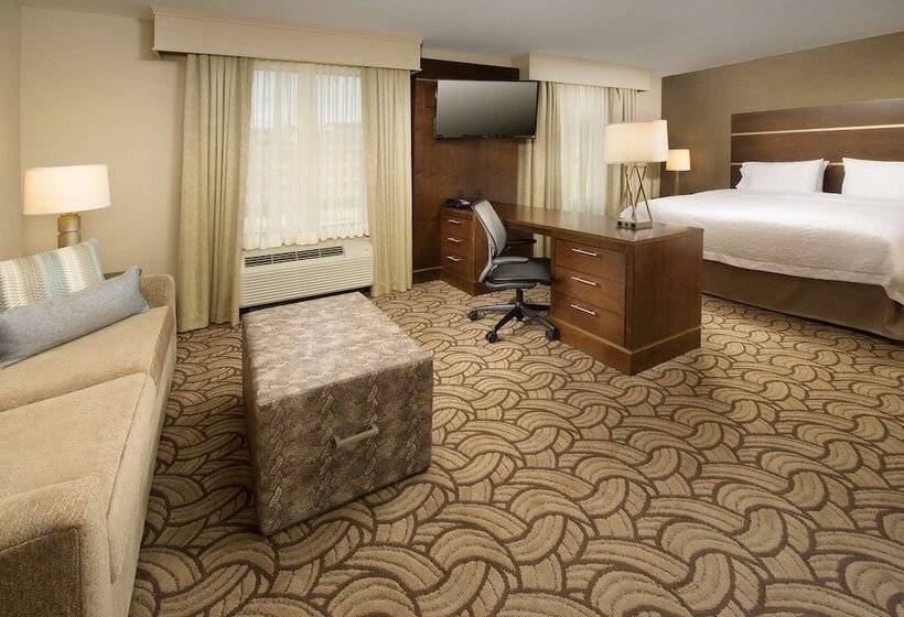 ホテル Hampton Inn & Suites San Antoniodowntown/market Square