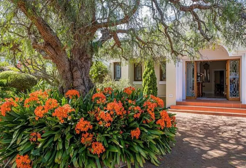 Hotel Lemon Tree Lane