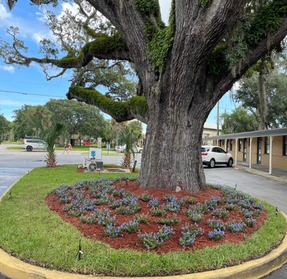 בית מלון כפרי Castillo Inn