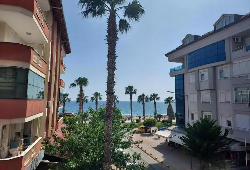 酒店 Kleopatra Sahara