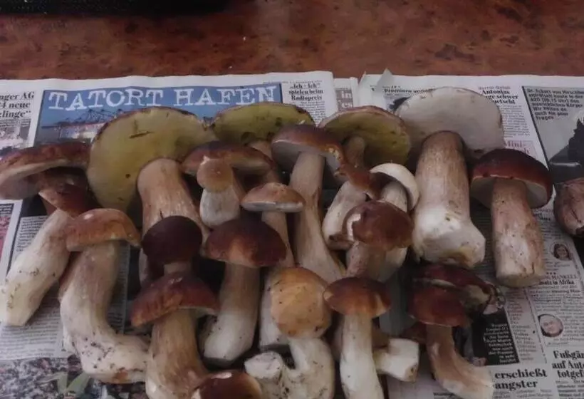 Landhotel Am Peetscher See