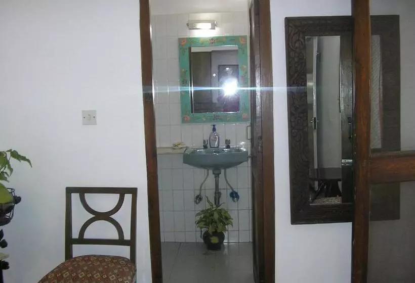 הוסטל Mayas Nest