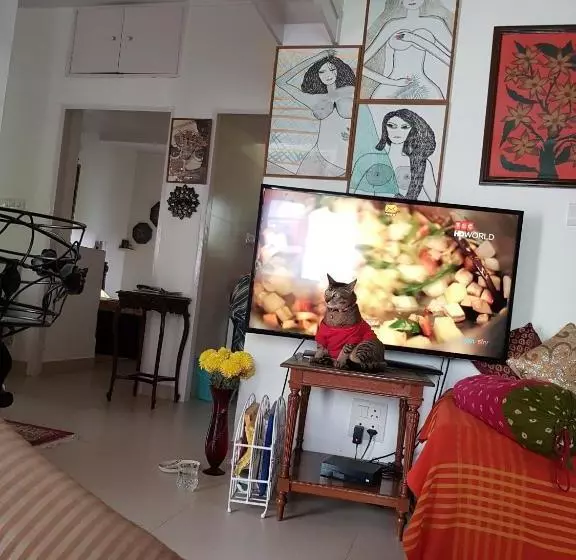 הוסטל Mayas Nest