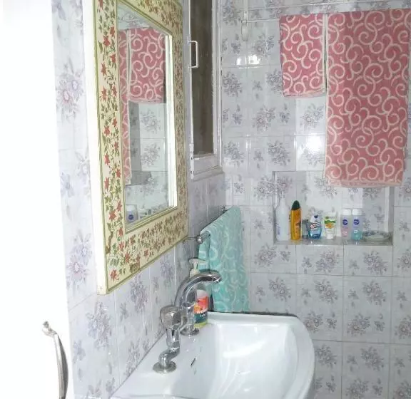 הוסטל Mayas Nest