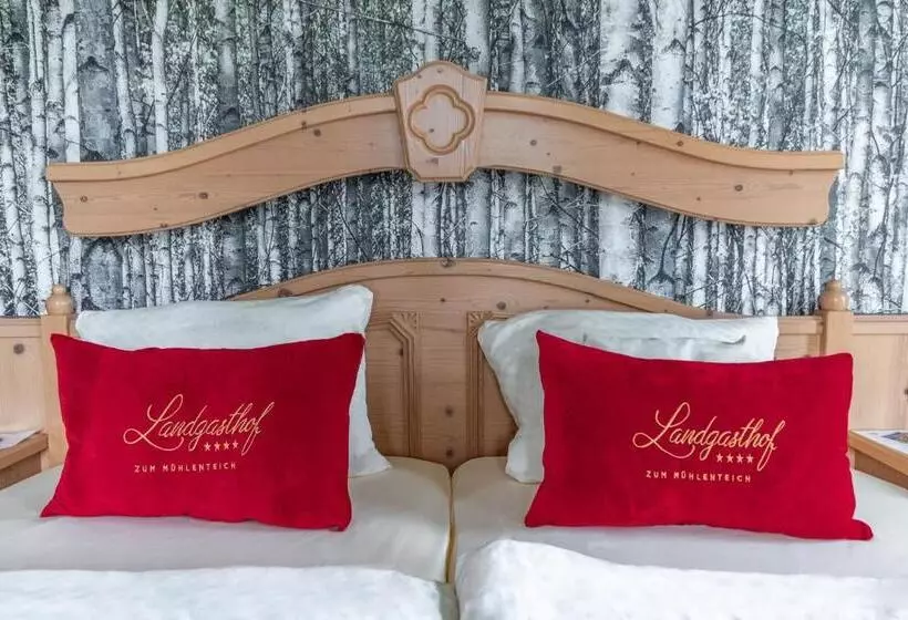 ペンション Landgasthof Zum Mühlenteich