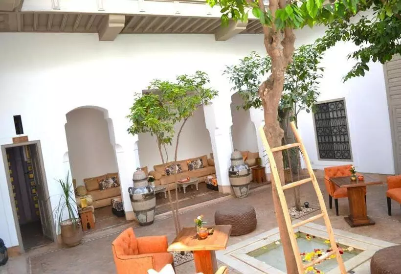 Riad See Moon And Spa