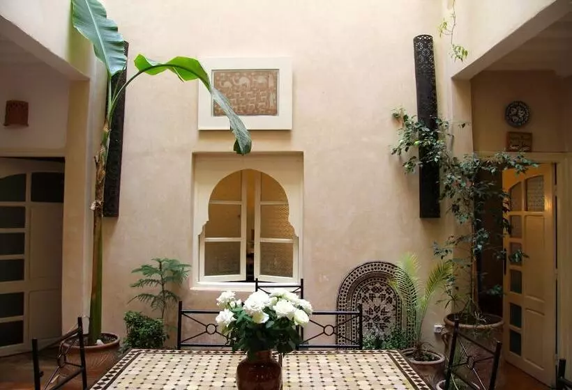 Riad Zelaka
