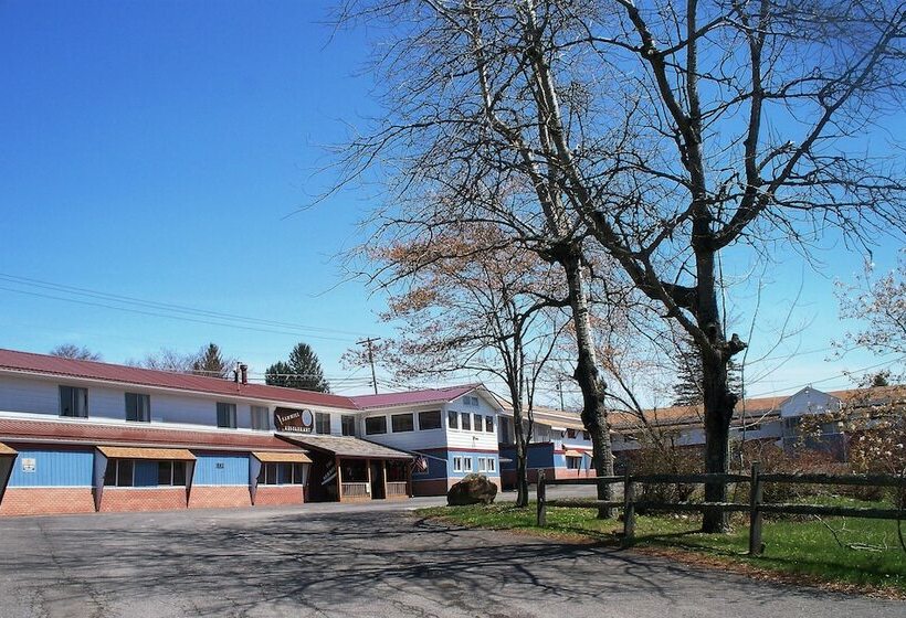 בית מלון כפרי The Alpine Lodge