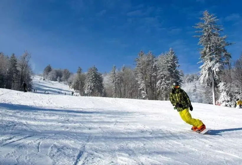 ホテル The Alpine Lodge