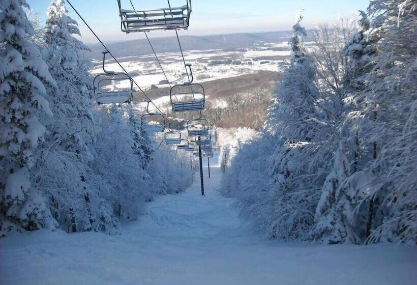 בית מלון כפרי The Alpine Lodge