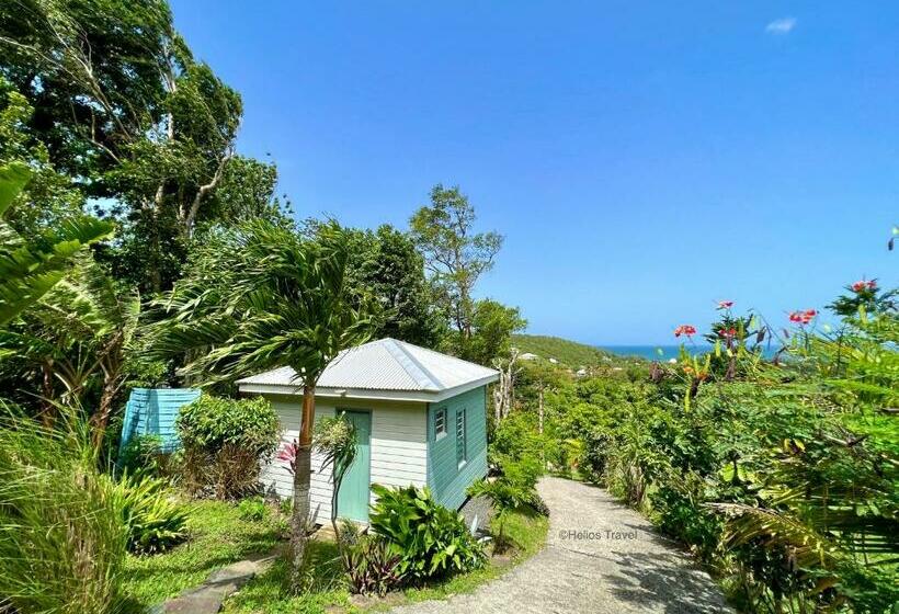 Majatalo Le Surf Lodge, Chambre Avec Vue Mer Dans Un écrin De Verdure