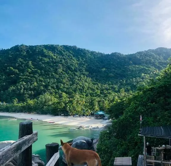 Lomakeskus Bambu Huts