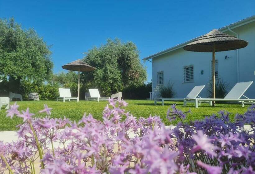 צימר La Maison Boutique Rooms