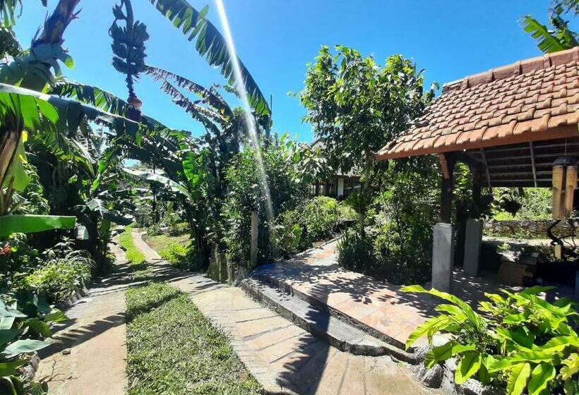 ユースホステル Manigelang Villa