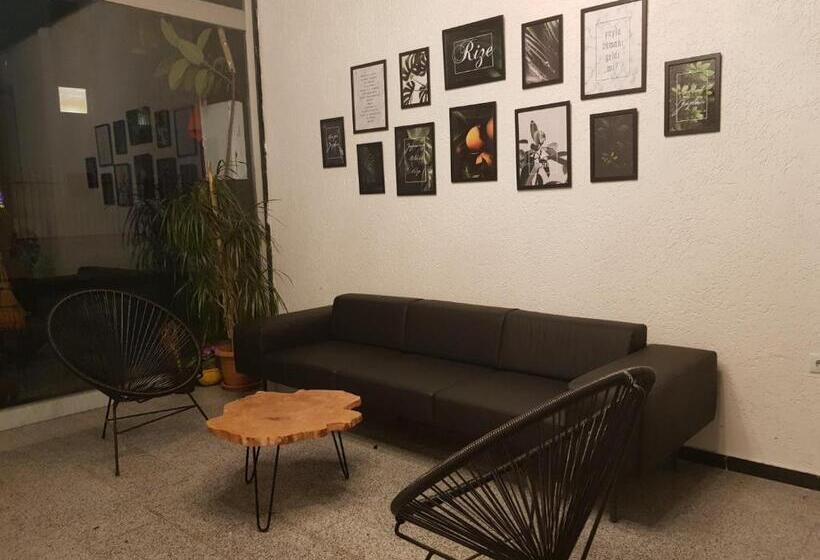 فندق Erdem Pension