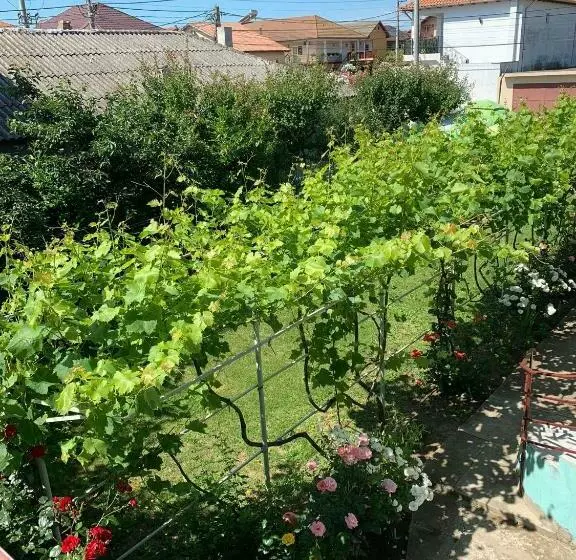 Pensjonat Casa Pestelui