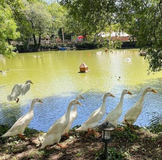 Bed and Breakfast Gîte à La Ferme Chant Alouette