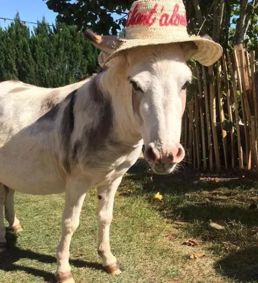 Aamiaismajoitus (B&B) Gîte à La Ferme Chant Alouette