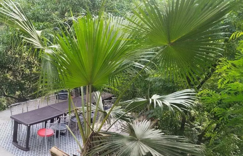 Kc Hotel & Restaurant