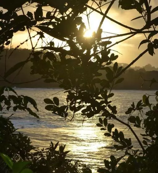 ホテル Cahuita