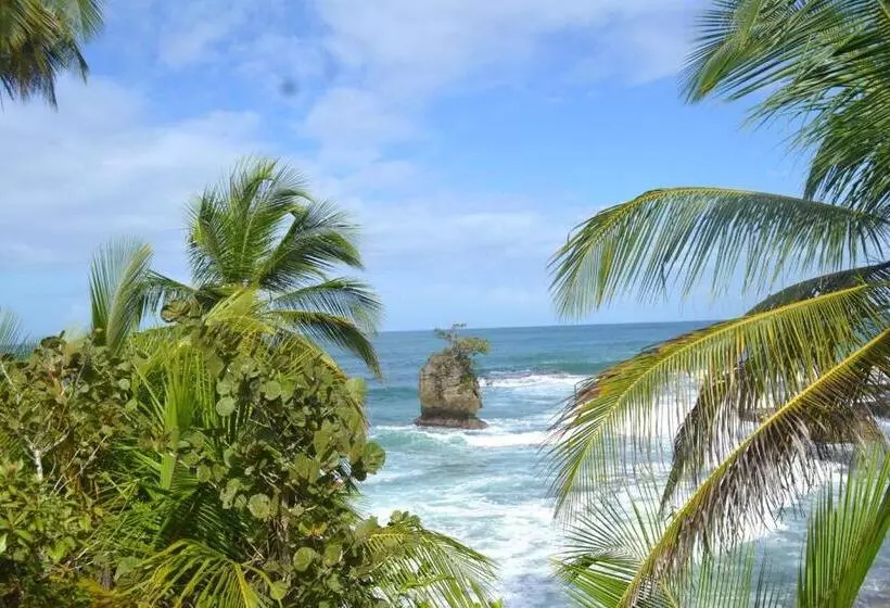 ホテル Cahuita