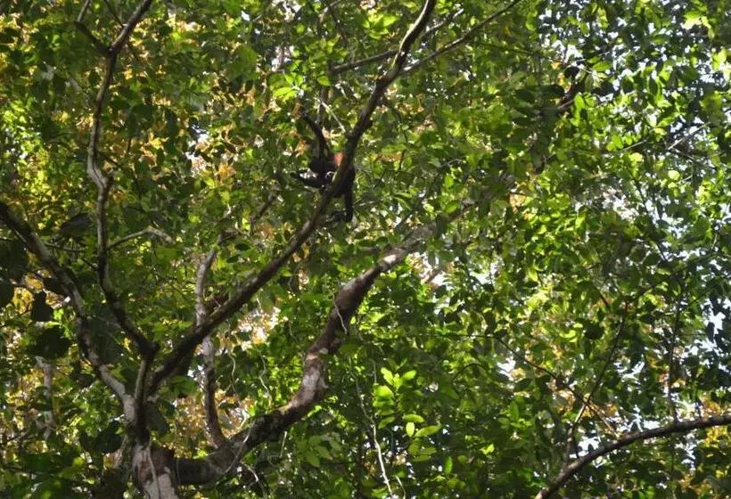 ホテル Cahuita