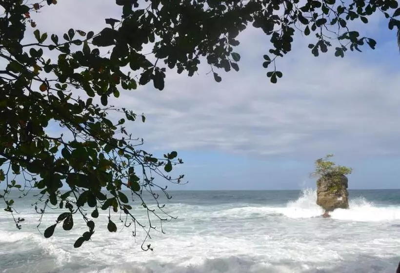 ホテル Cahuita