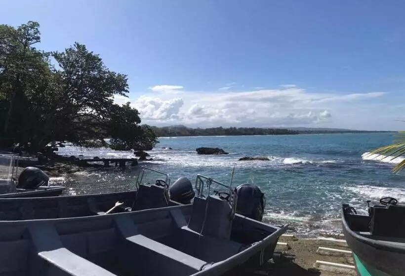 ホテル Cahuita