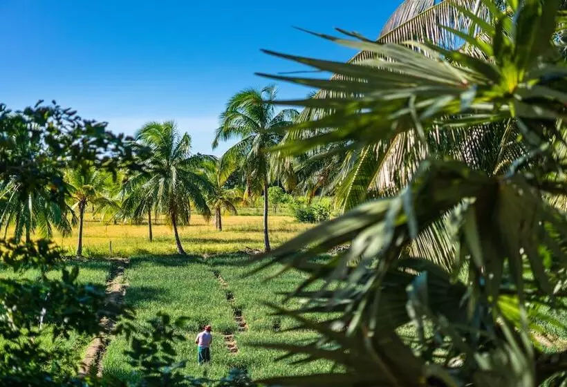 Hotelli Taru Villas Maia  Habarana