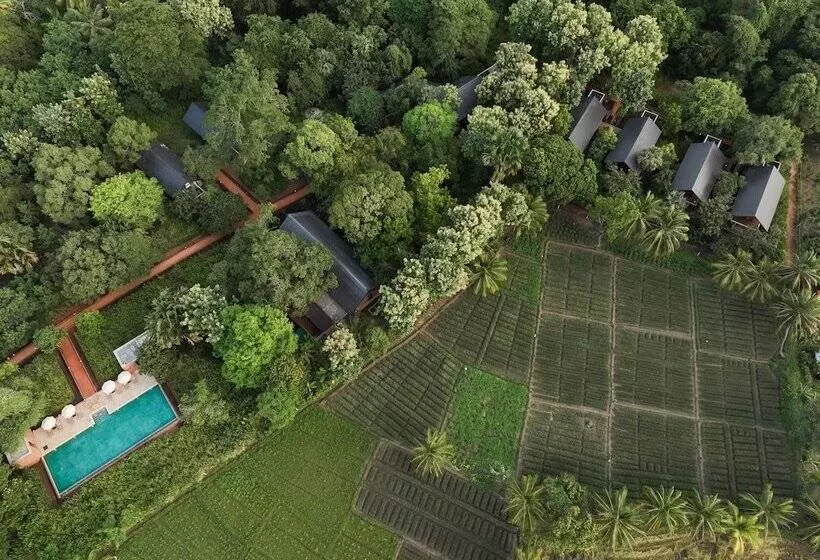 Hotelli Taru Villas Maia  Habarana