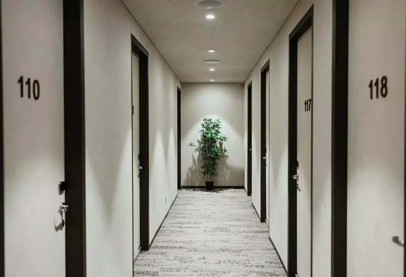 Aerotel Sydney   Inside International Terminal Airport