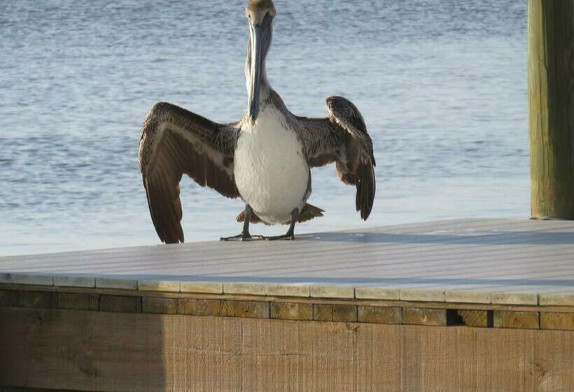 Nocleg ze śniadaniem Bayview Bnb