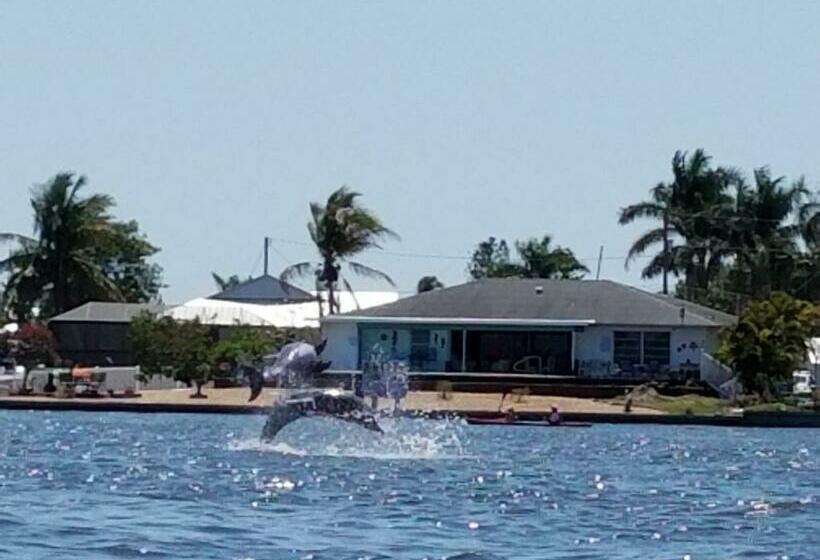 Nocleg ze śniadaniem Bayview Bnb