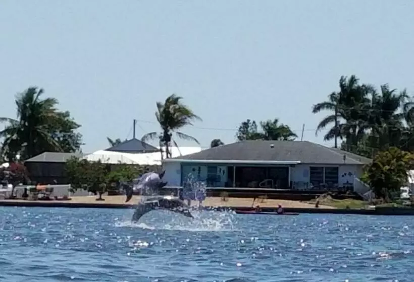 Aamiaismajoitus (B&B) Bayview Bnb