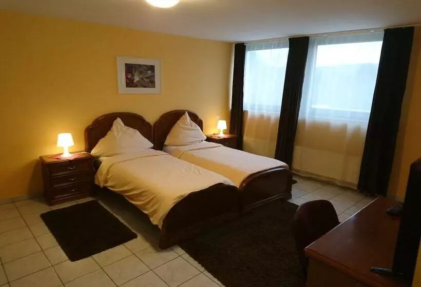 בית מלון כפרי Euro