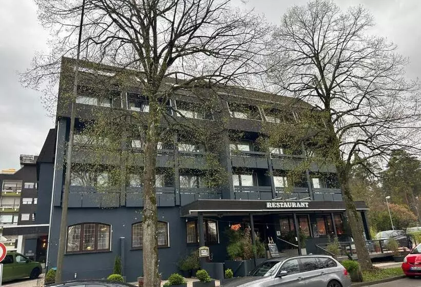 בית מלון כפרי Stadt Homburg