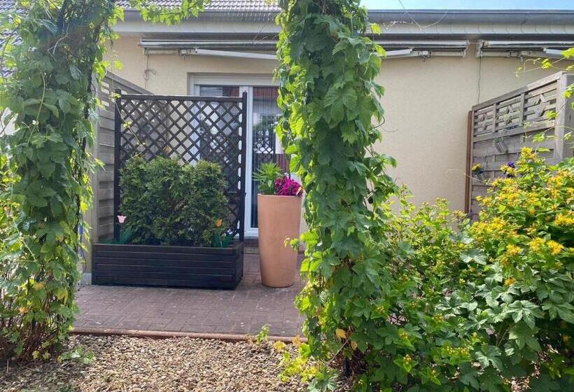 호텔 Wurster Kroog